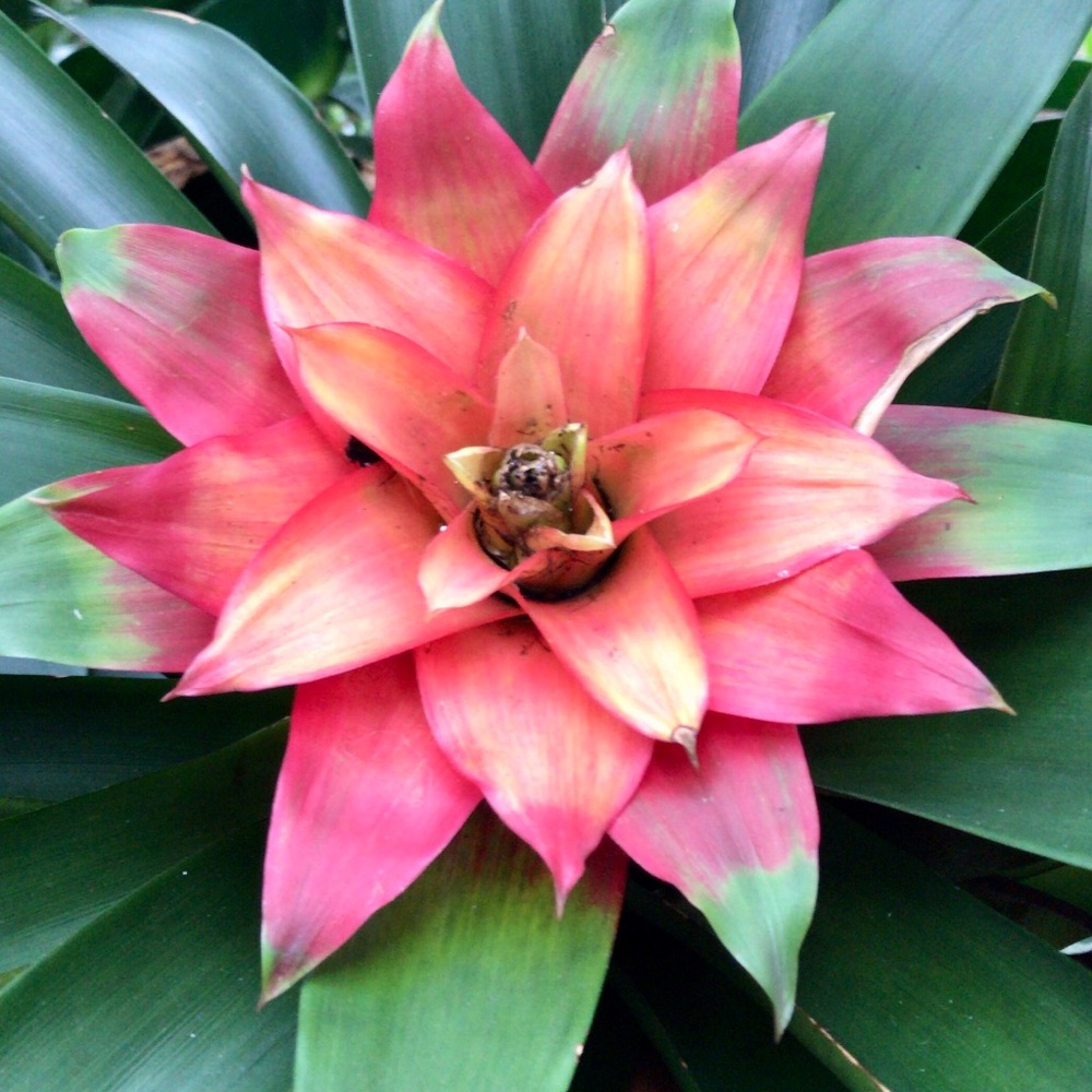 Meet your Posher, Lety